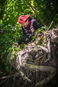 BIB: 
                            <button type="button" onclick="openModal(7045823)" class="btn btn-primary btn-sm float-right btn-popup" data-toggle="modal" data-target=".modal-high-quality">
                        <i class="fas fa-shopping-cart"></i> Add to Cart
                    </button>
                                            <button type="button" onclick="isThisMe(7045823, true)" class="btn btn-success btn-sm float-right btn-popup btn-isme hidden" data-toggle="tooltip" data-placement="bottom" title="นี่คือรูปของคุณใช่ไหม คลิกที่นี่เพื่อเอาเข้าอัลบั้ม">
                        <i class="fas fa-plus"></i> Add to album
                    </button>
                    <button type="button" onclick="isThisMe(7045823, false)" class="btn btn-warning btn-sm float-right btn-popup btn-isnotme hidden">
                        <i class="fas fa-ban"></i> Remove from album
                    </button>